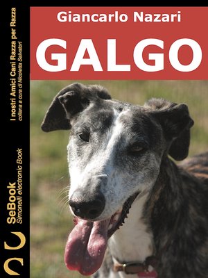 cover image of Galgo